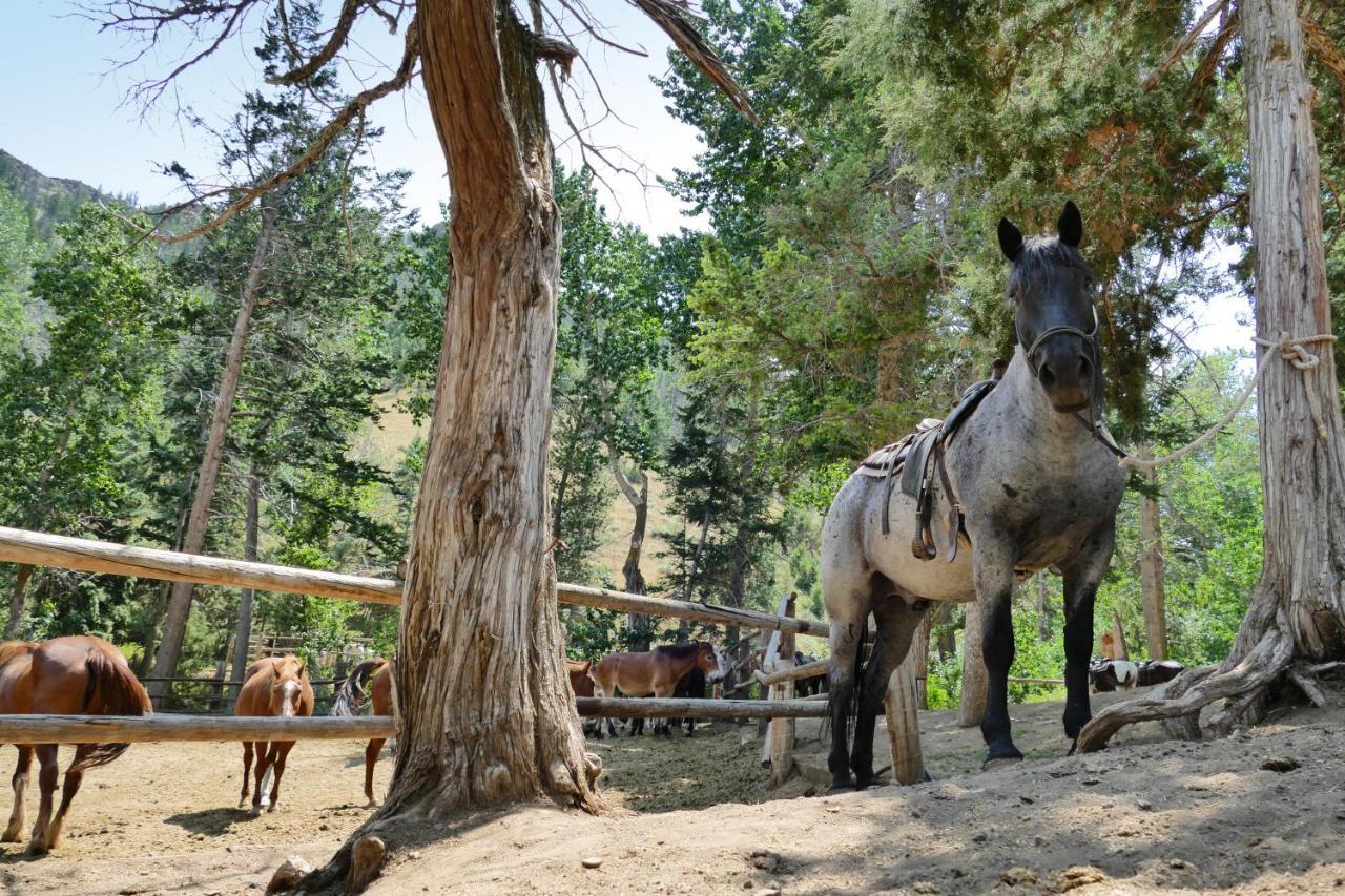 Bill Cody Ranch Hotel Екстериор снимка